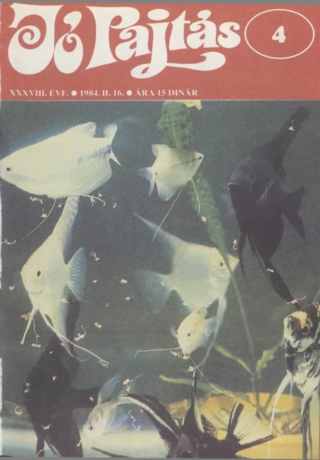 Jó Pajtás, 38. évf. 1984. február 16. 4. sz.