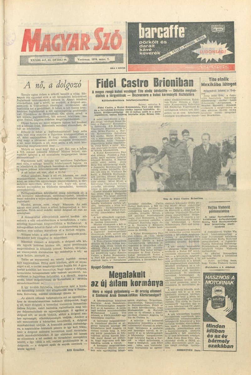 Magyar Szó, 33. évf. 1976. március 7. 65. sz. 1–32. oldal