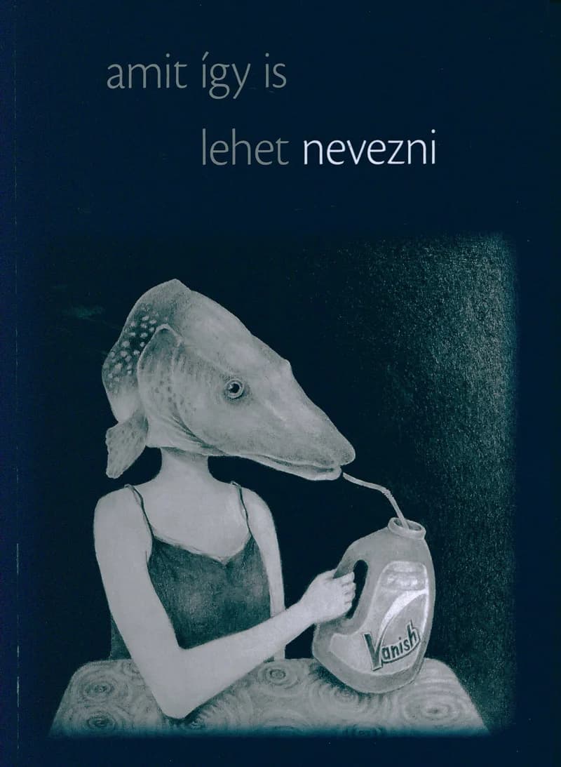 Amit így is lehet nevezni