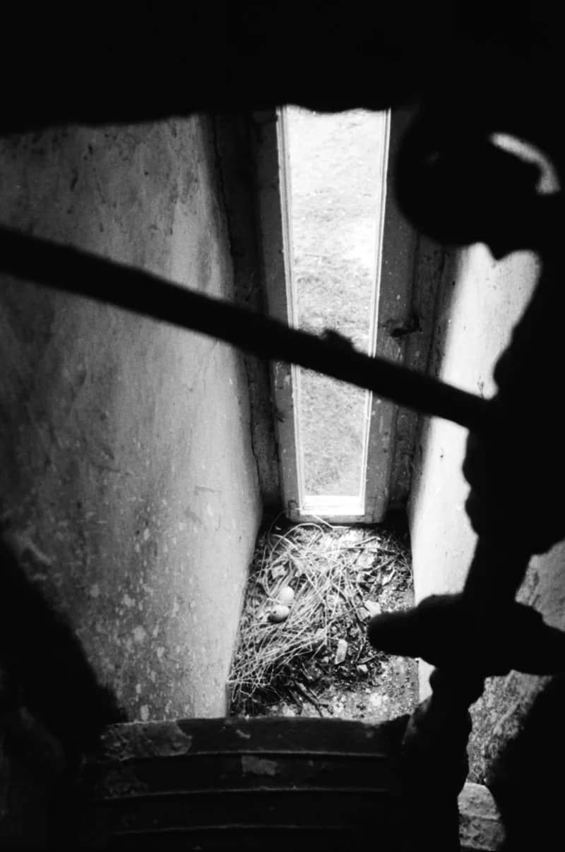 Valičković-kiállítás - Bagolyvár