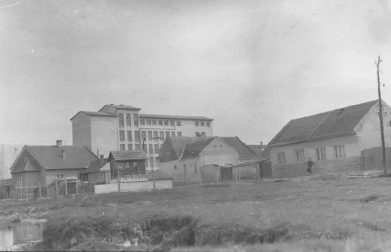 A temerini Nagymalom