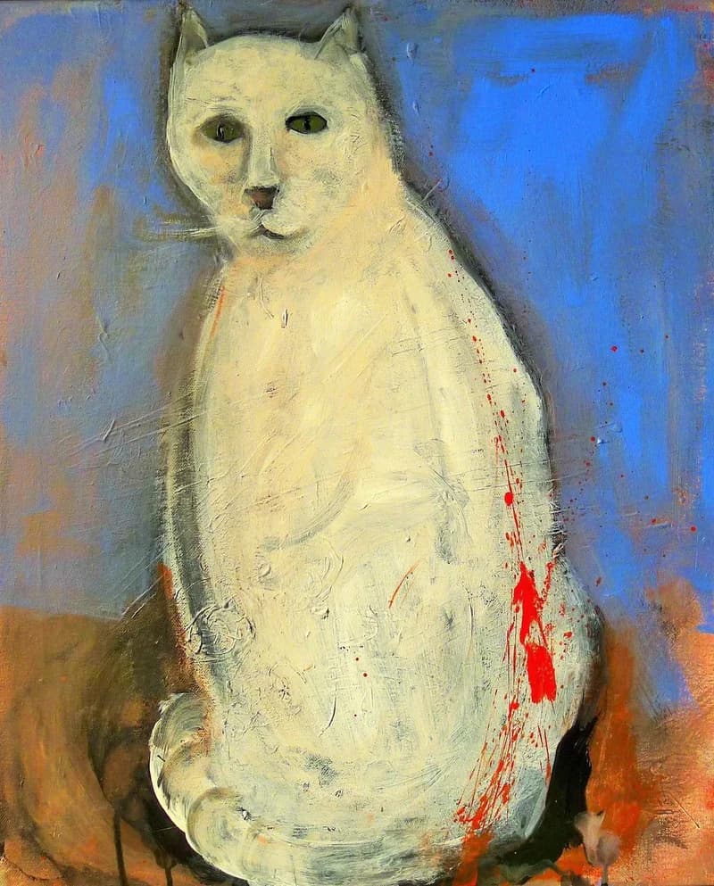 Fehér macska kék háttérrel