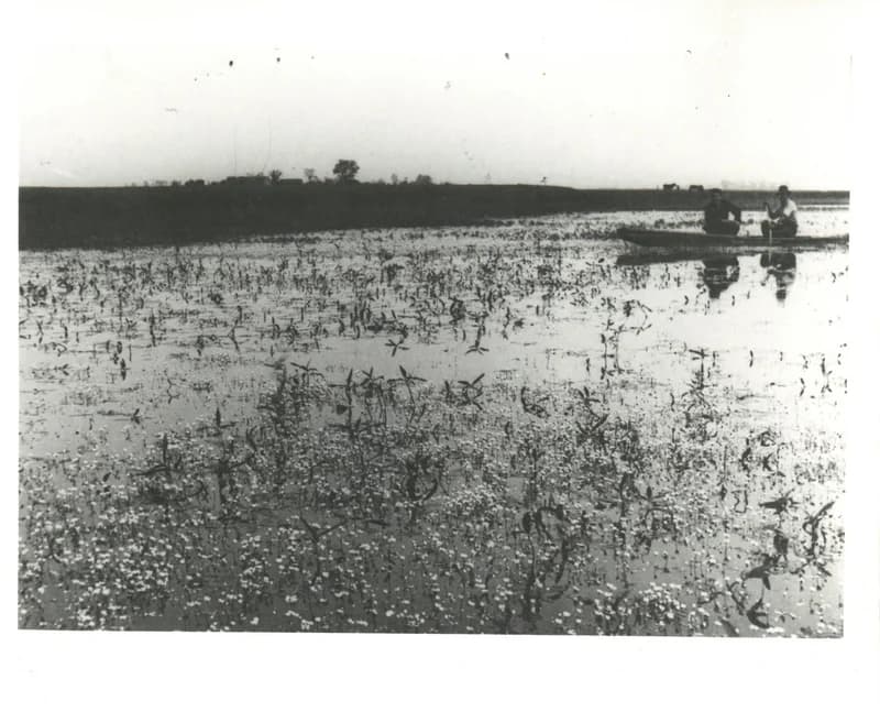 A Jegricska folyó árterülete
