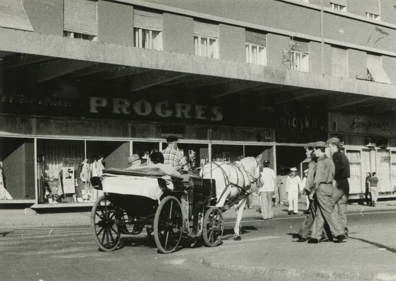 Lovaskocsizás a városban