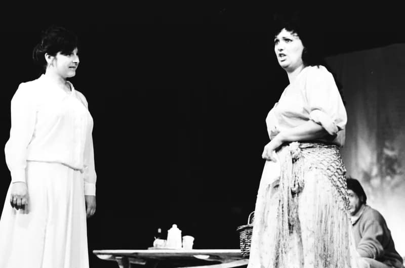 A Vajdasági Színházak Szemléje