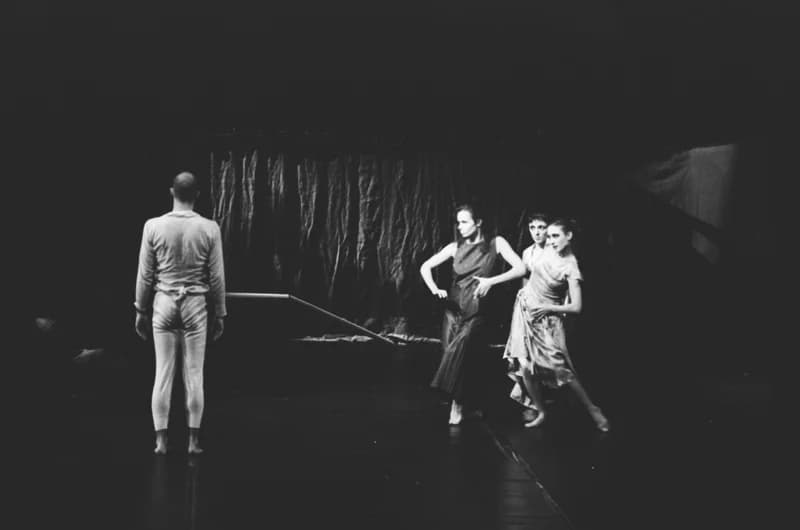 A Párizsi Jel Színház előadása: A hét rinocéroszbőr