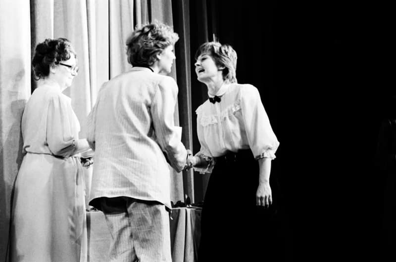 A Vajdasági Színházak Szemléje