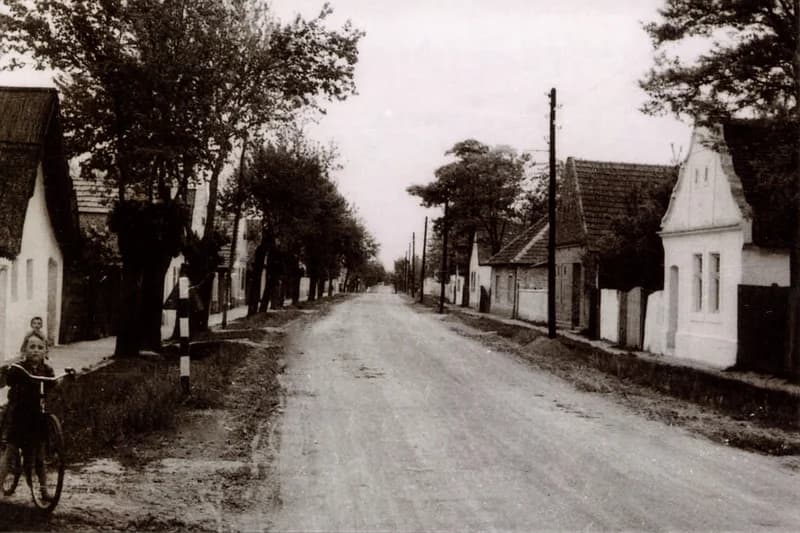 Temerin - Csáki Lajos utca