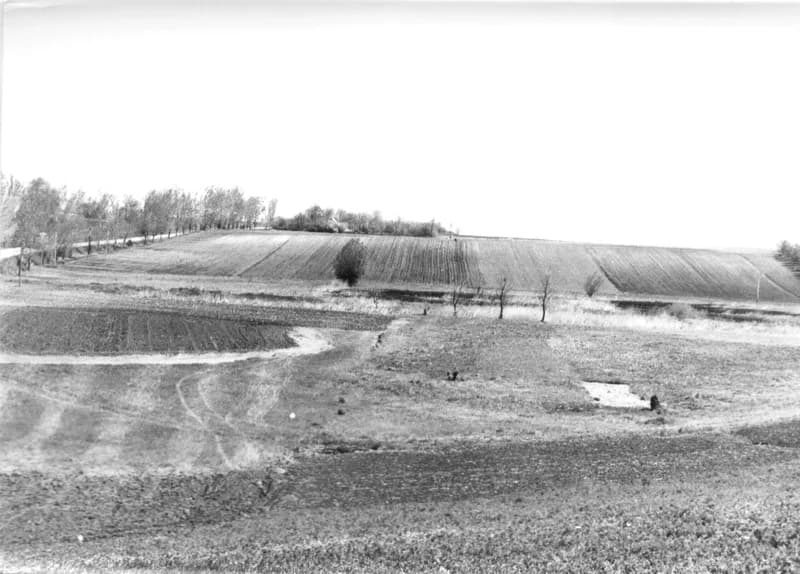 Szántóföldek a zentai határban