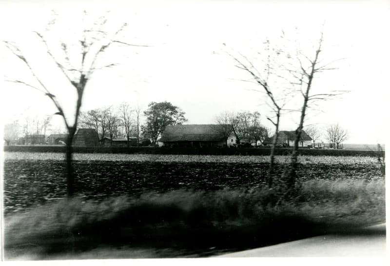 Novák Mihály tanyája