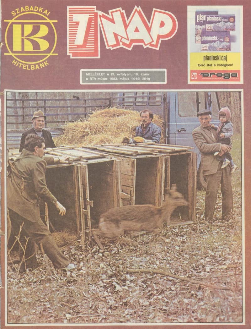 7 Nap melléklet, 9. évf. 1983. május 14. – 20. 19. sz.