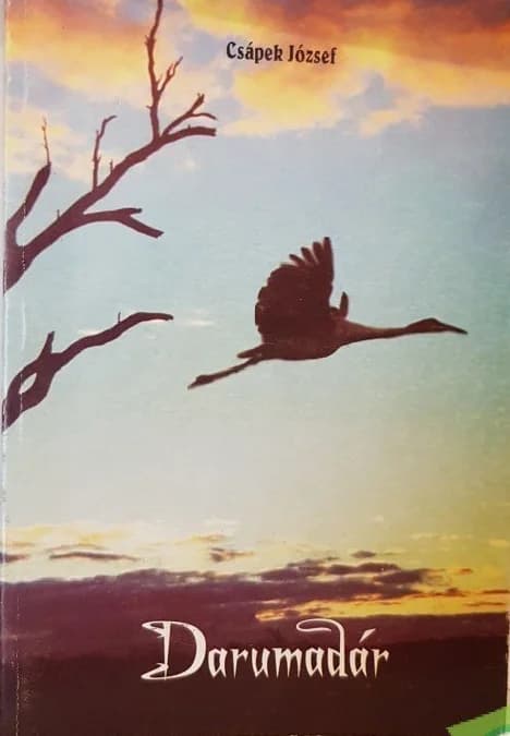 Darumadár