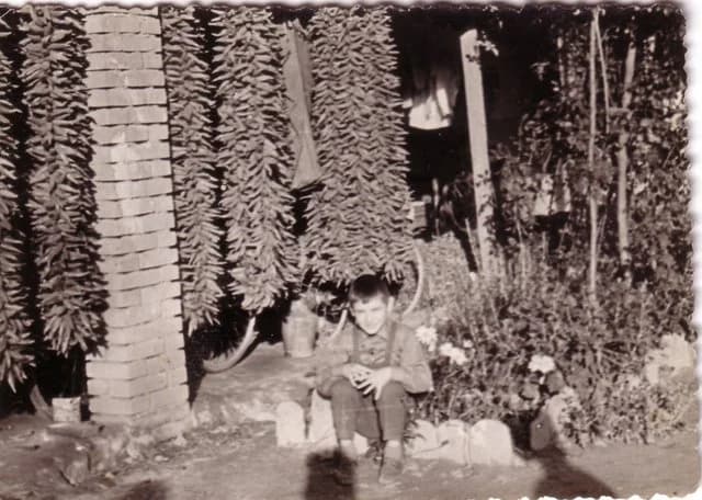 Gyerek paprika füzérekkel