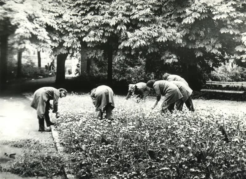 Városszépítő kertészek