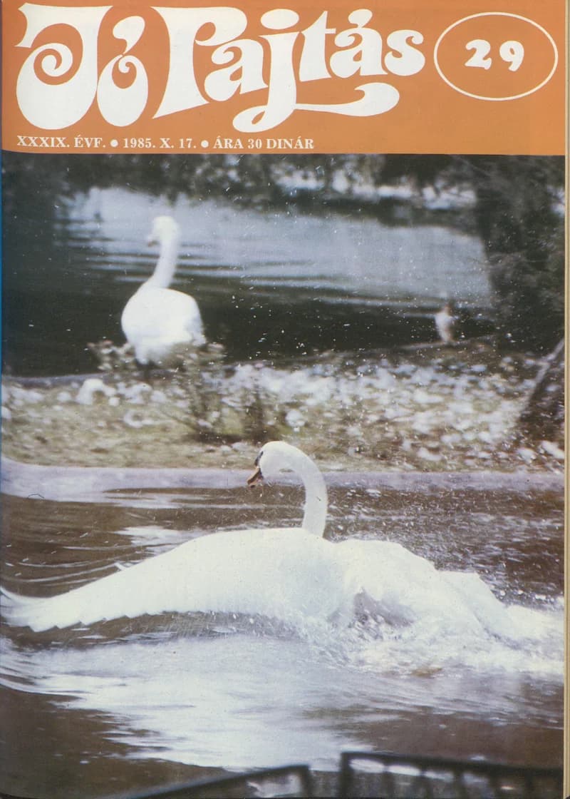 Jó Pajtás, 39. évf. 1985. október 17. 29. sz.