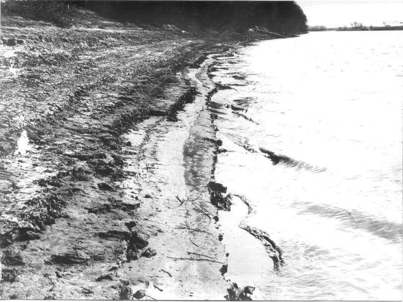 A Tisza Zentánál a bánáti oldalon