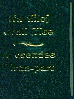 Na tihoj obali Tise / A csendes Tiszapart