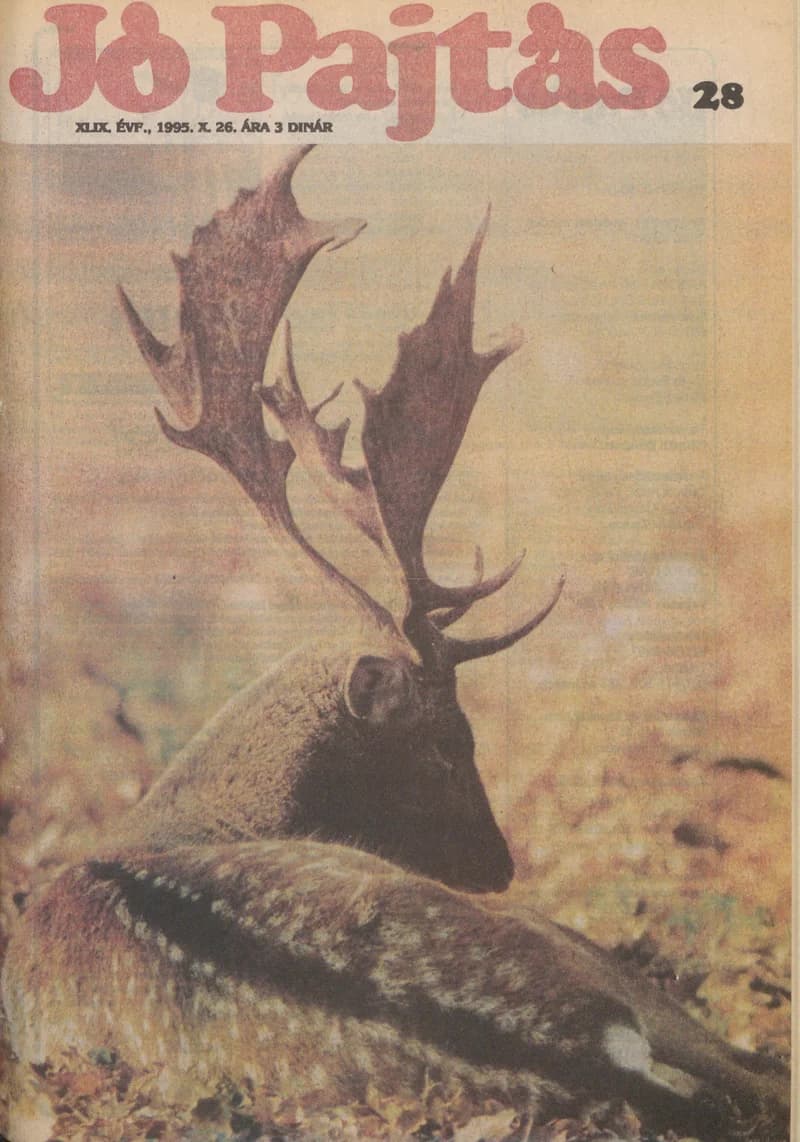 Jó Pajtás, 49. évf. 1995. október 26. 28. sz.
