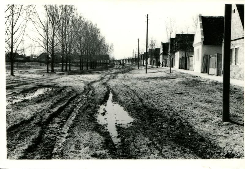 Temerin - Egysor - Dózsa György utca