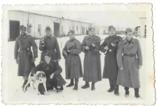 Varga József katona