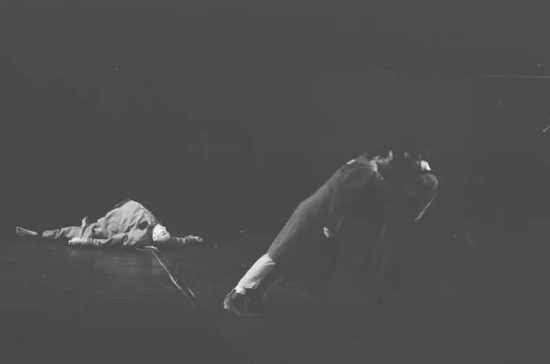 A Párizsi Jel Színház előadása: A hét rinocéroszbőr