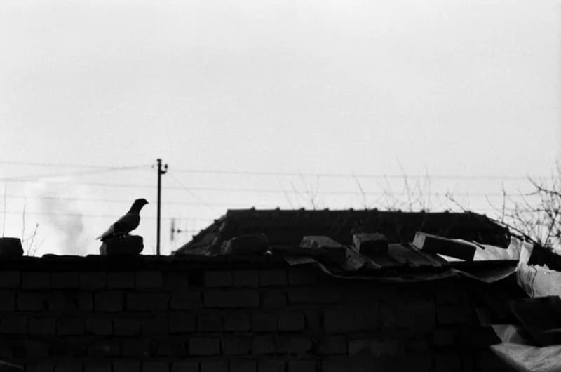 Település a Zorka gyárnál