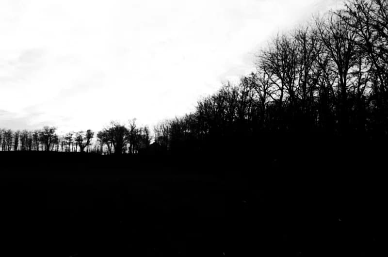 Zsáki István és Maurits Ferenc Művésztelepen