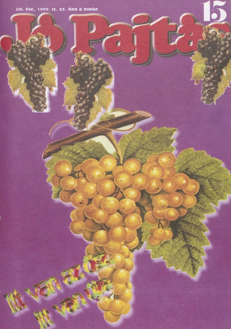Jó Pajtás, 53. évf. 1999. szeptember 23. 15. sz.