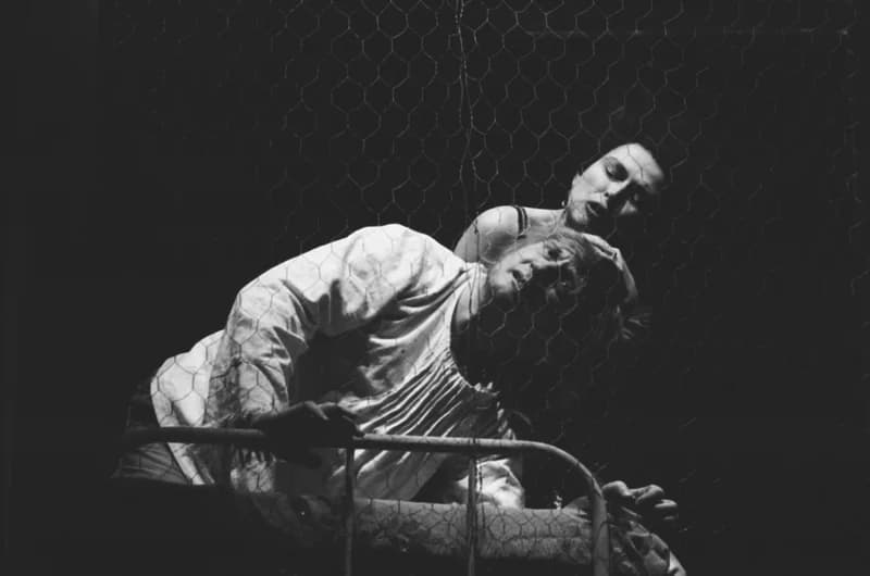 Tömöry Péter (r.), Tolnai Ottó: Paripacitrom 