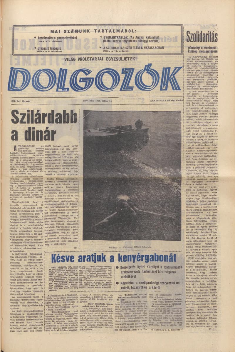 Dolgozók, 21. évf. 1967. július 14. 29. sz.