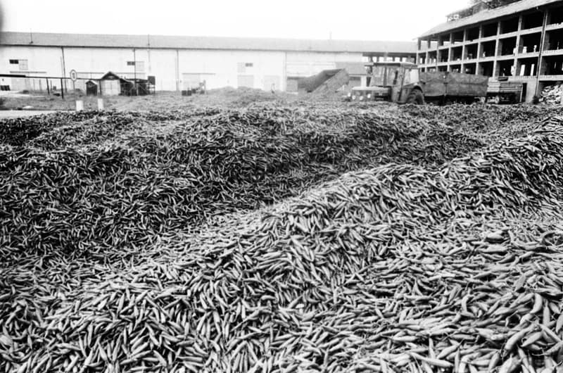 Vitamin Paprikagyár