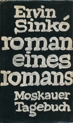 Roman eines Romans 