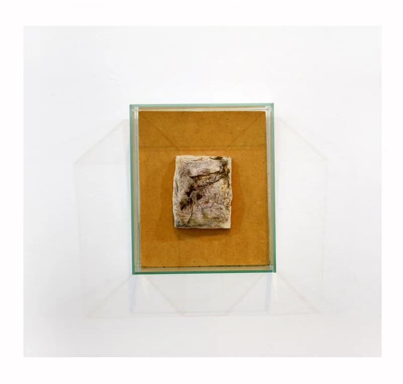 Tat Tvam Asi - Ez vagy Te c. sorozat, 1.