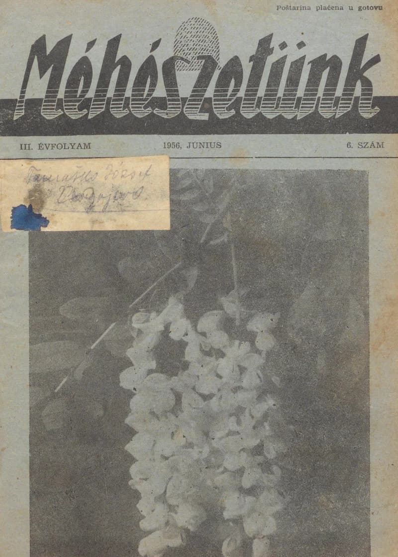 Méhészetünk, 3. évf. 1956. június 1. 6. sz.