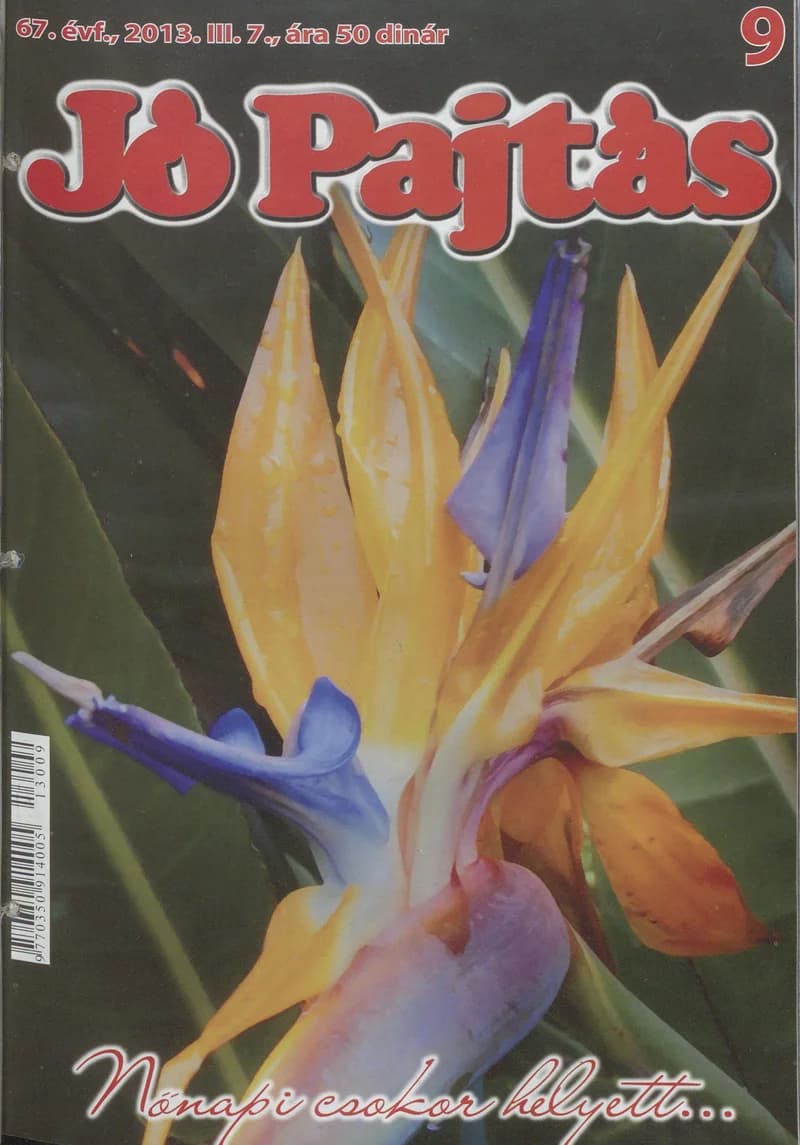 Jó Pajtás, 67. évf. 2013. március 7. 9. sz.
