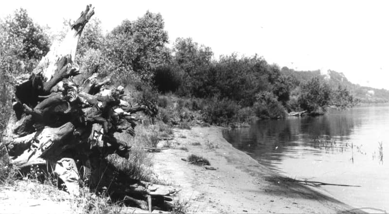 A gombosi hídnál a Tisza