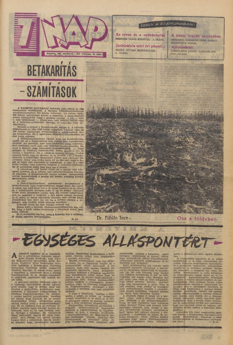 7 Nap, 20. évf. 1965. október 29. 43. sz. 1–20. oldal
