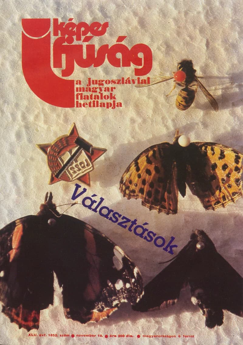 Képes Ifjúság, 43. évf. 1987. november 18. 1852. sz.