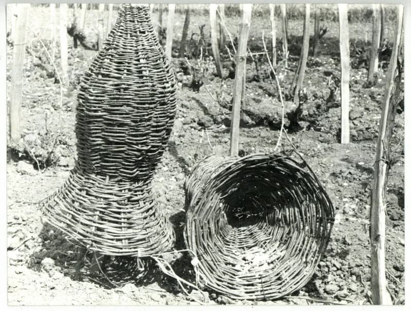 Vesszőből font varsák