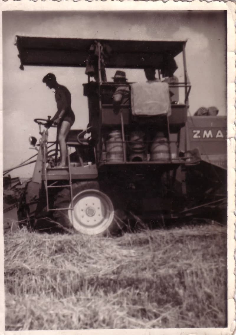 Mezőgazdasági Szövetkezet 3.