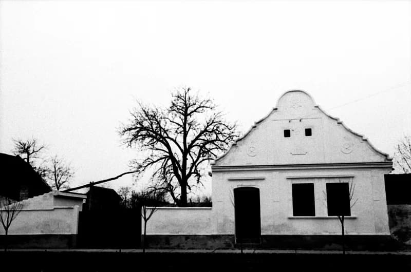 A Bartók Béla Művelődési Egyesületben