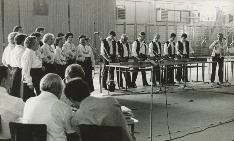 Népkör énekeseinek, citerásainak fellépése