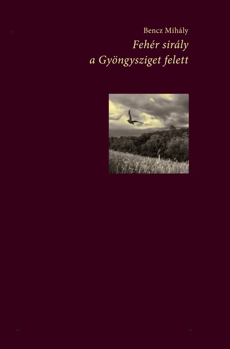 Fehér sirály a Gyöngysziget felett