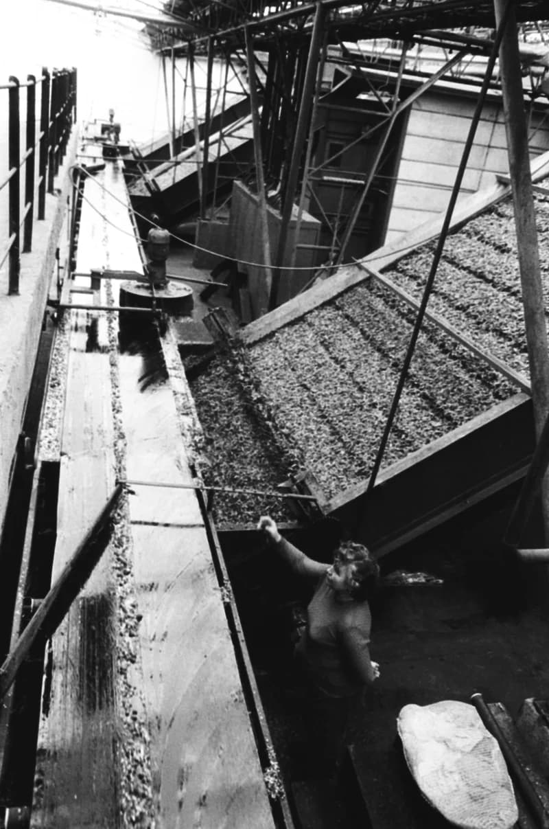 Vitamin Paprikagyár