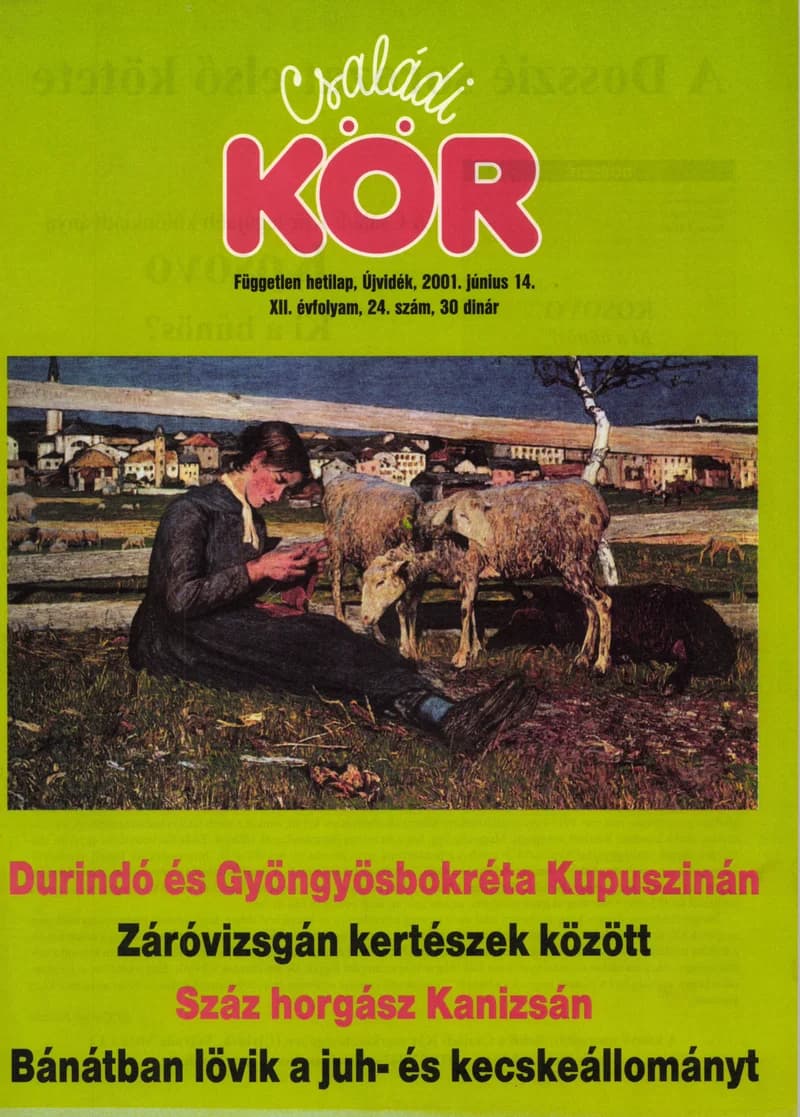 Családi Kör, 12. évf. 2001. június 14. 24. sz.