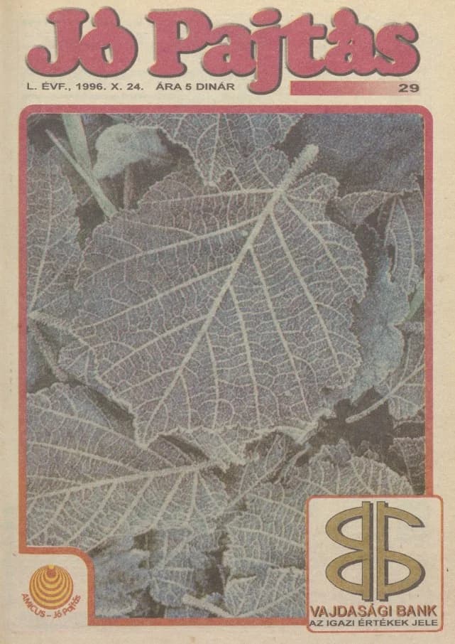 Jó Pajtás, 50. évf. 1996. október 24. 29. sz.