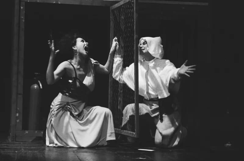 Tömöry Péter (r.), Tolnai Ottó: Paripacitrom 