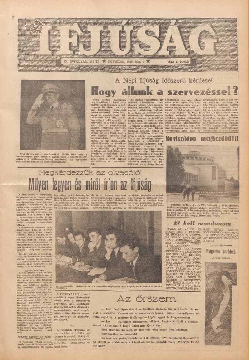 Ifjúság, 11. évf. 1955. február 4. 486. sz.