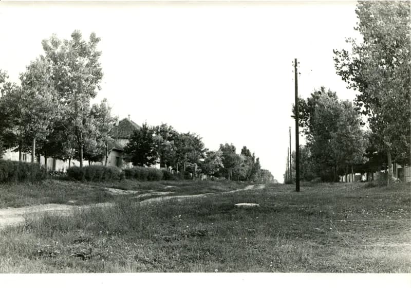 Házsor fölesúttal