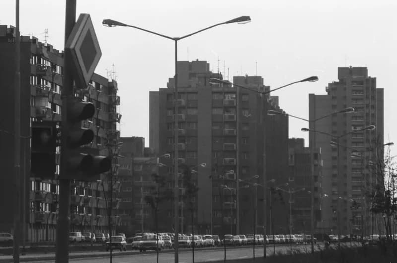 Újvidék, Liman városnegyed